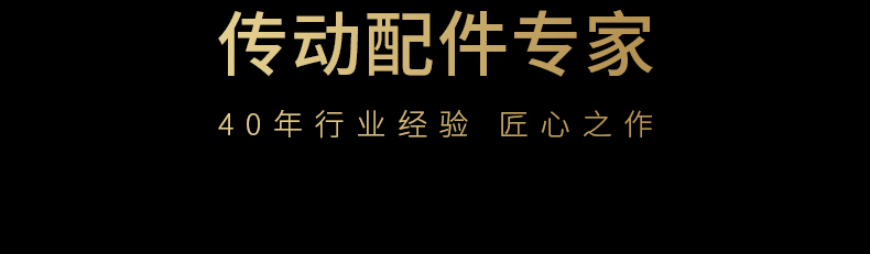 40年齒條傳動配件專家品質保障 40年齒條傳動配件專家品質保障